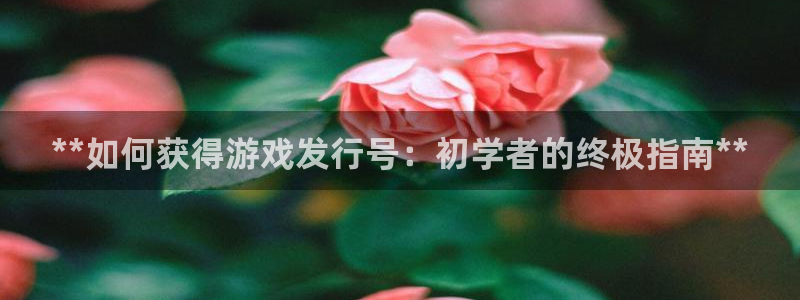 新城平台网址
