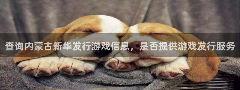 新城平台登录入口官网下载手机版