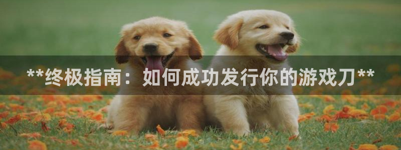 新城平台是干嘛的公司有哪些