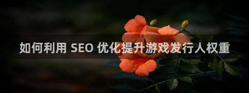 新城平台是干嘛的公司：如何利用 SEO 优化提升游戏发行人权重