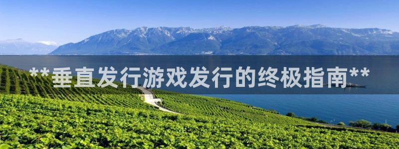 新城平台网址：**垂直发行游戏发行的终极指南**