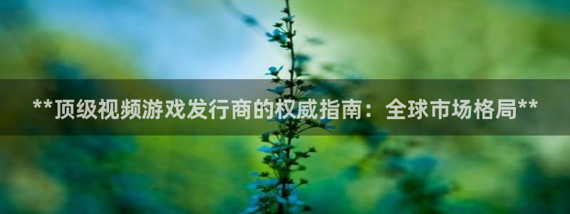 新城平台负责人：**顶级视频游戏发行商的权威指南：全球市场格局**