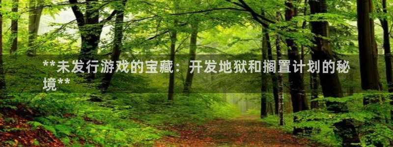 新城平台登录密码忘了怎么找回：**未发行游戏的宝藏：开发地狱和搁置计划的秘
境**