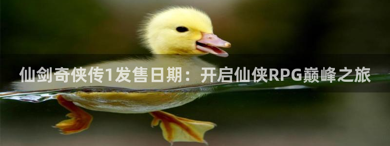 新城平台注册网址查询