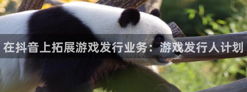 新城平台代理注册流程
