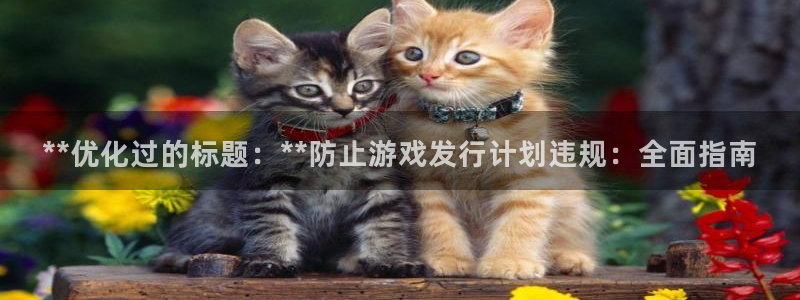 新城平台登录入口官网首页