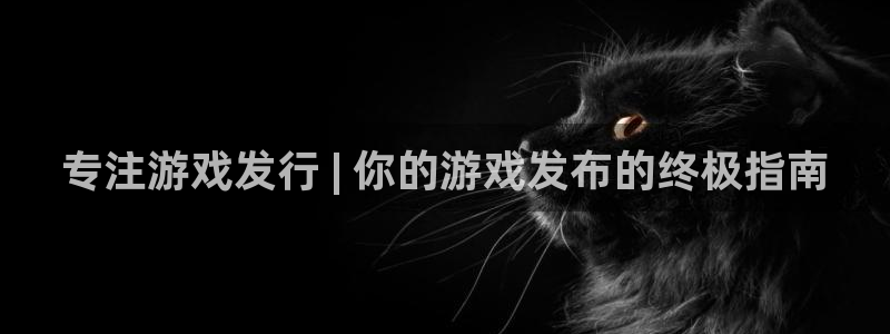 新城平台注册登录地址是什么