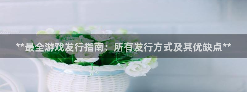 新城平台登录入口官网网址是多少
