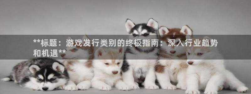 新城平台企业信息查询