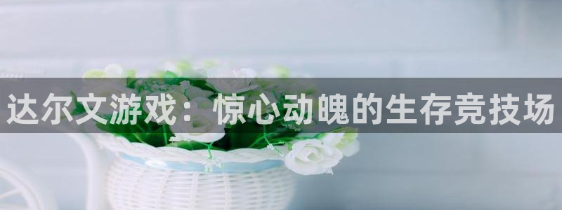 新城平台总代：达尔文游戏：惊心动魄的生存竞技场