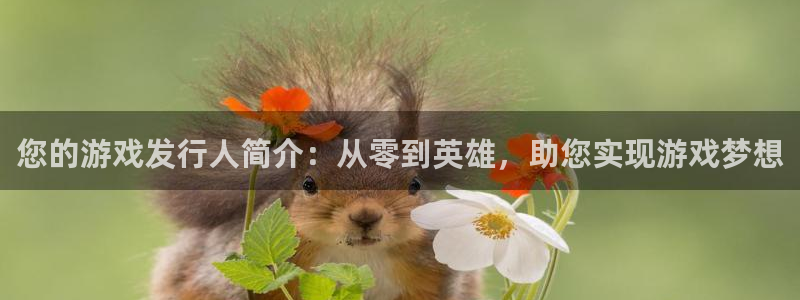 新城平台登录密码忘了怎么改：您的游戏发行人简介：从零到英雄，助您实现游戏梦想