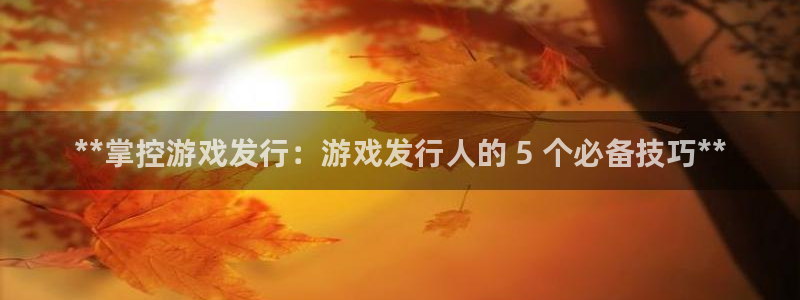 新城平台代理怎么样：**掌控游戏发行：游戏发行人的 5 个必备技巧**