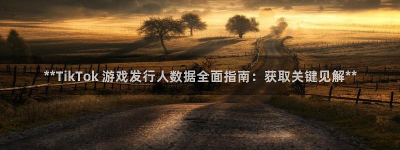 新城平台注册网址查询：**TikTok 游戏发行人数据全面指南：获取关键见解**