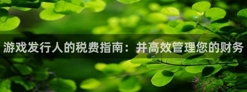 新城平台公司：游戏发行人的税费指南：并高效管理您的财务