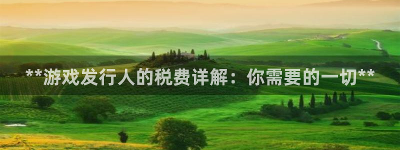 新城平台注册登录地址怎么填：**游戏发行人的税费详解：你需要的一切**