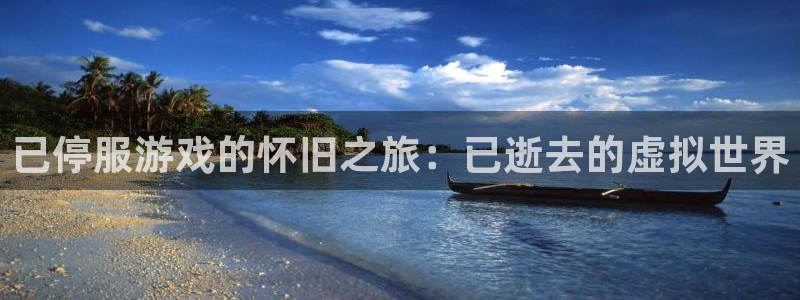 新城平台线路登录不上去了怎么回事：已停服游戏的怀旧之旅：已逝去的虚拟世界