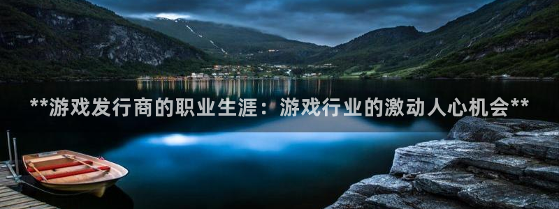 新城平台登录入口官网网址：**游戏发行商的职业生涯：游戏行业的激动人心机会**