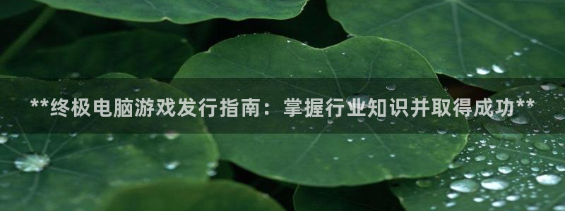 新城平台登录入口官网下载app：**终极电脑游戏发行指南：掌握行业知识并取得成功**