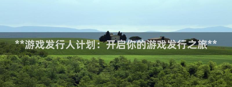 新城平台进·新城平台：**游戏发行人计划：开启你的游戏发行之旅**