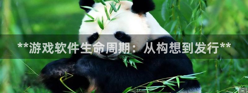 新城平台线路登录不上去怎么回事儿：**游戏软件生命周期：从构想到发行**