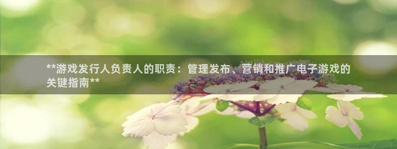 新城平台注册：**游戏发行人负责人的职责：管理发布、营销和推广电子游戏的
关键指南**