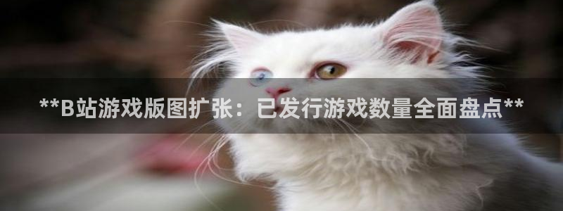 新城平台平台最新活动信息
