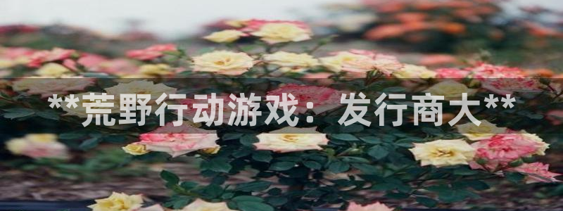 新城平台登录密码忘了怎么办：**荒野行动游戏：发行商大**