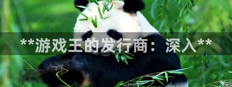 新城平台线路登录不上去了怎么办：**游戏王的发行商：深入**