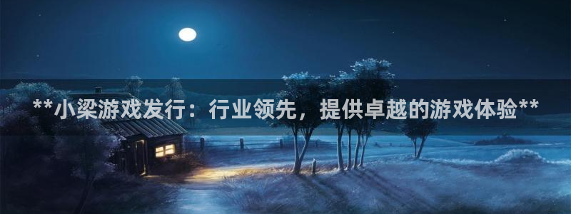 新城平台代理注册公司：**小梁游戏发行：行业领先，提供卓越的游戏体验**