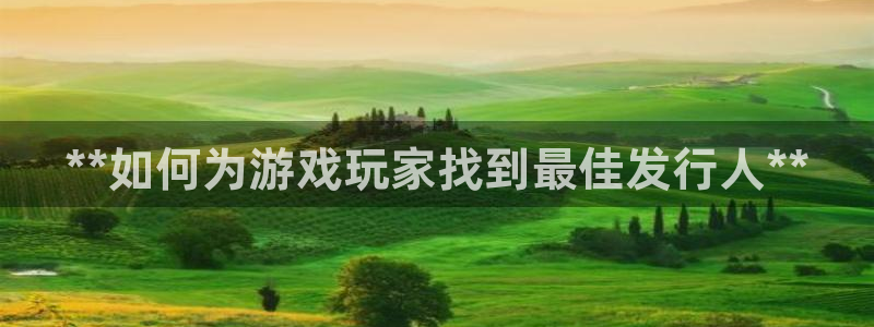 新城平台代理注册：**如何为游戏玩家找到最佳发行人**