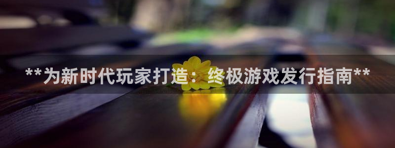 新城平台登录入口官网下载app