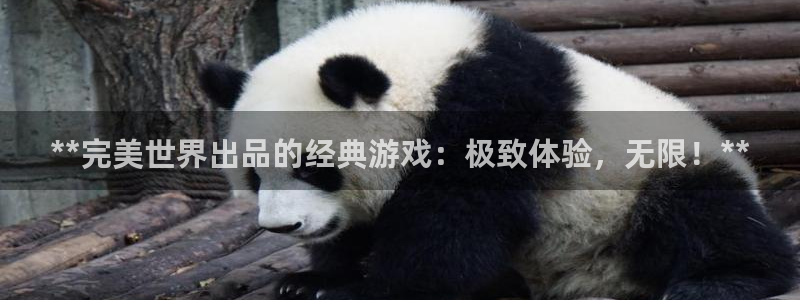 新城平台官网首页