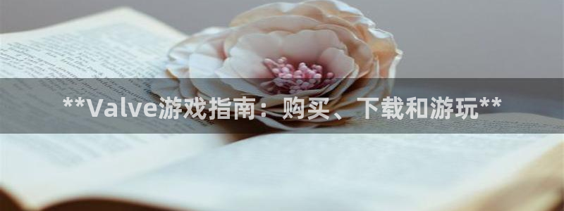 新城平台是干嘛的公司