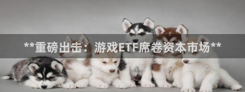 新城平台登录密码忘了