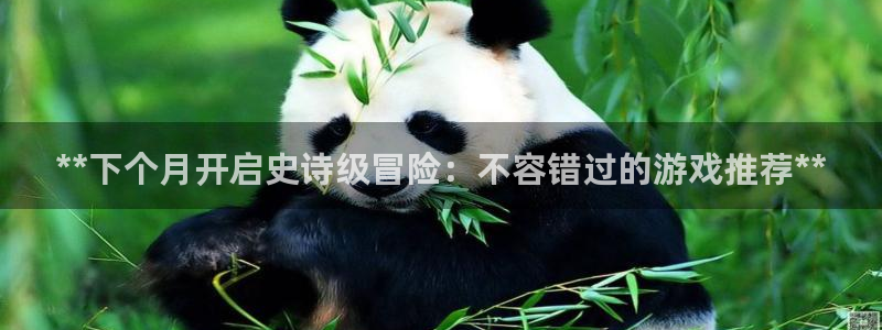 新城平台在线登陆