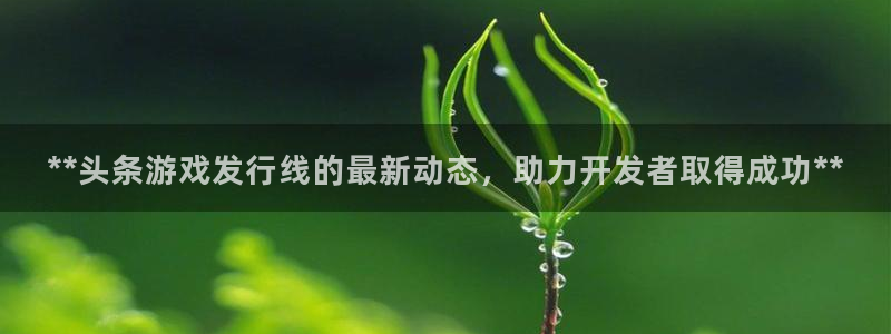 新城平台线路登录不上去怎么回事儿：**头条游戏发行线的最新动态，助力开发者取得成功**
