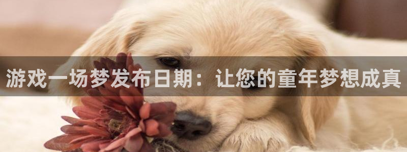 新城平台登录：游戏一场梦发布日期：让您的童年梦想成真