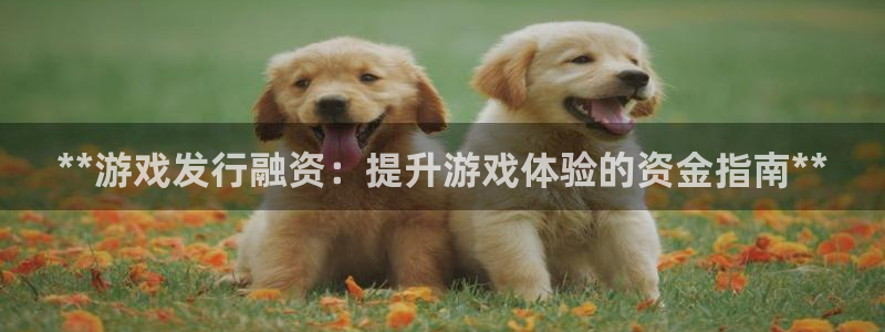 新城平台计7O777：**游戏发行融资：提升游戏体验的资金指南**