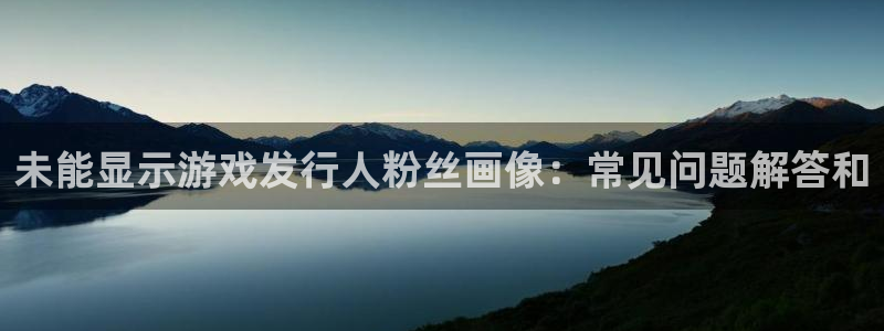 新城平台注册资金多少钱：未能显示游戏发行人粉丝画像：常见问题解答和