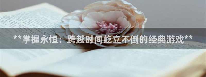 新城平台负责人：**掌握永恒：跨越时间屹立不倒的经典游戏**