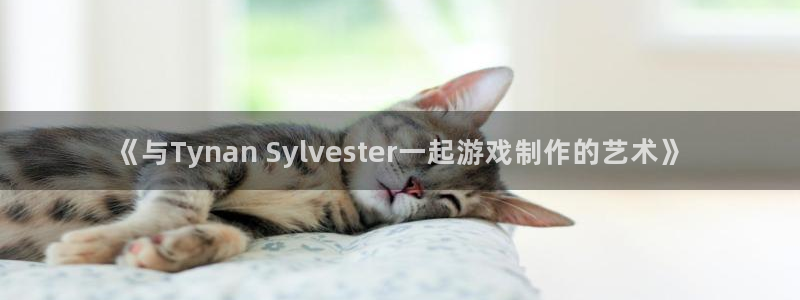 新城平台代理电话