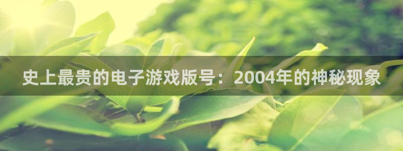 新城平台使7O777