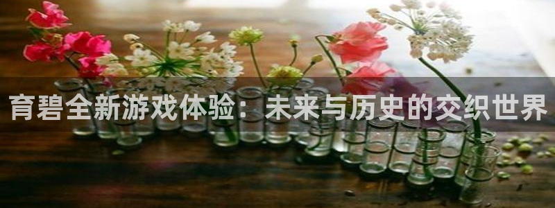 新城平台线路登录不上去了怎么办
