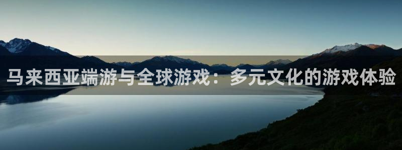 新城平台是干嘛的公司啊