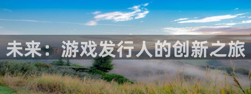 新城平台代理注册公司