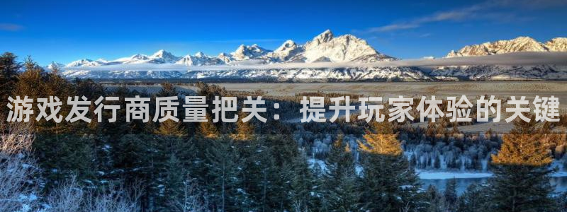 新城平台代理怎么样：游戏发行商质量把关：提升玩家体验的关键