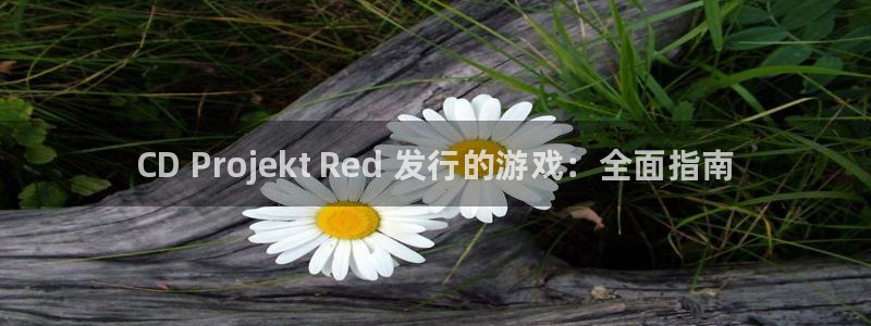 新城平台线路登录不上去了：CD Projekt Red 发行的游戏：全面指南