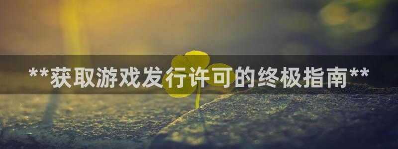 新城平台代理怎么做：**获取游戏发行许可的终极指南**