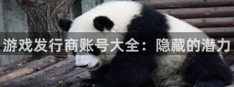 新城平台分分彩：游戏发行商账号大全：隐藏的潜力