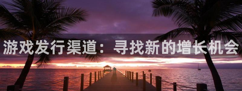 新城平台登录入口官网网址是多少：游戏发行渠道：寻找新的增长机会